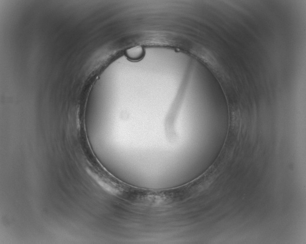 X0000082160302200701191248