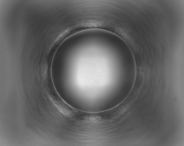 X0000082160304200701191248