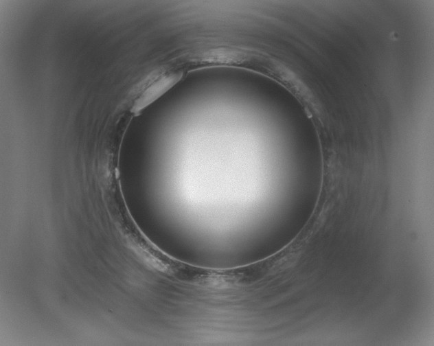 X0000082160305200701191248