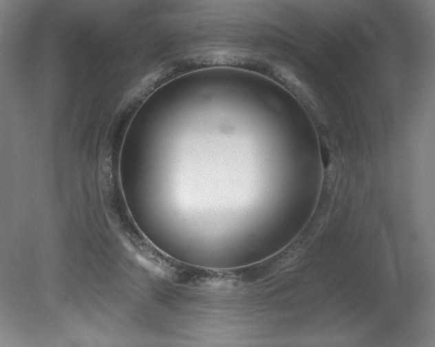 X0000082160306200701191248