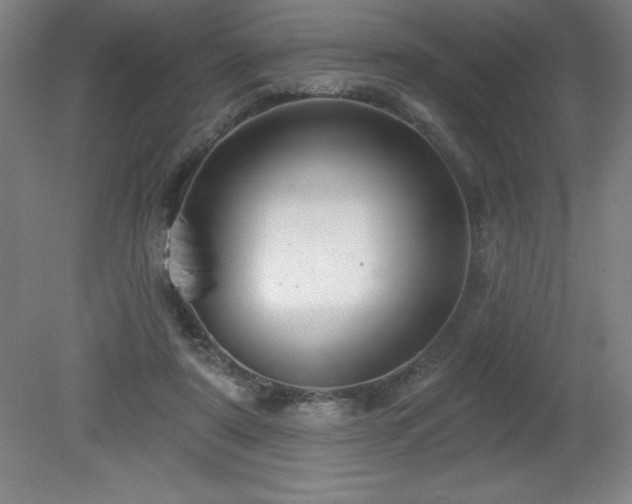X0000082160307200701191248