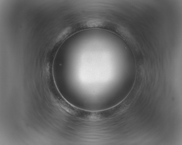 X0000082160308200701191248