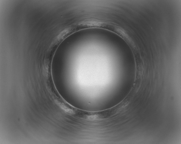 X0000082160309200701191248