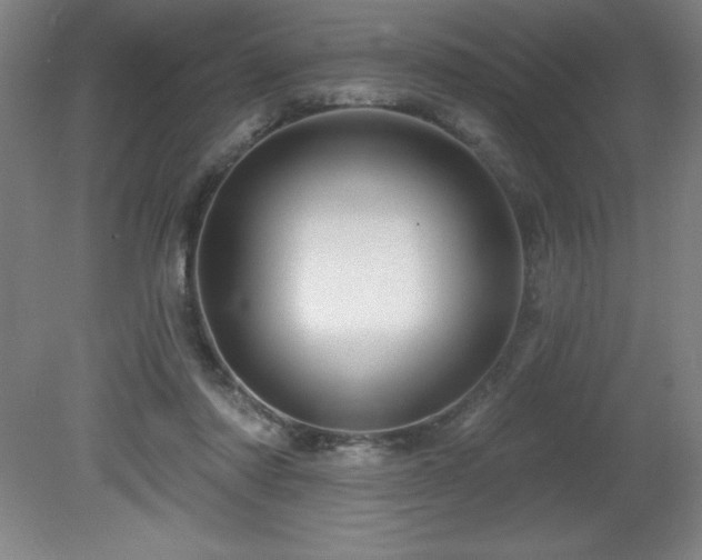 X0000082160310200701191248