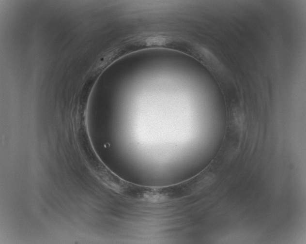 X0000082160311200701191248