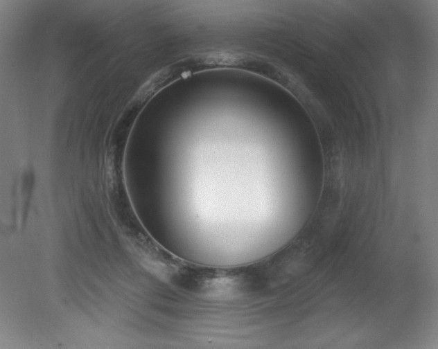 X0000082160312200701191248