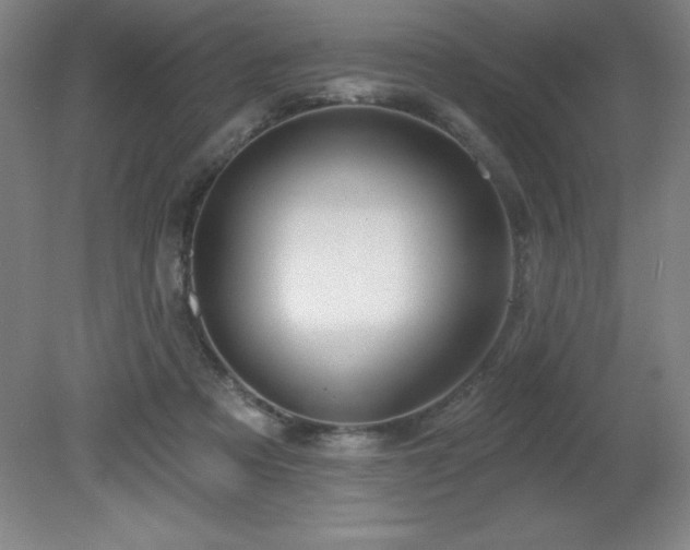 X0000082160313200701191248