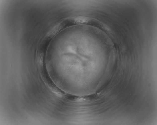 X0000082160315200701191248