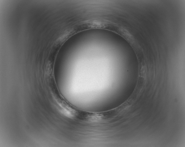 X0000082160318200701191248