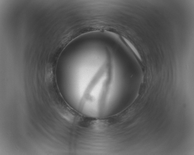 X0000082160320200701191248