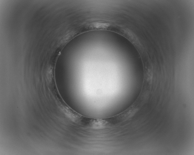 X0000082160321200701191248