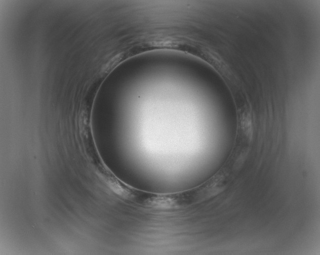 X0000082160322200701191248