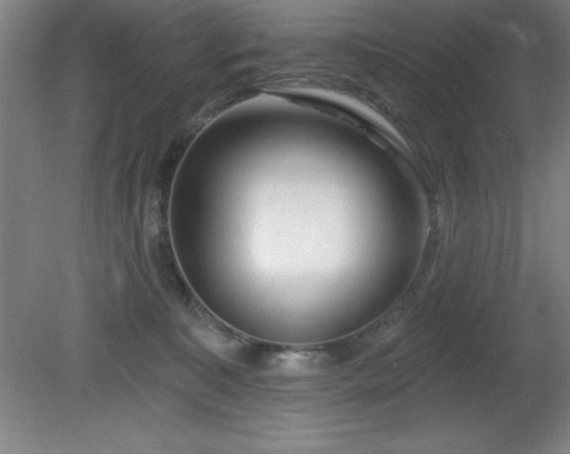 X0000082160323200701191248