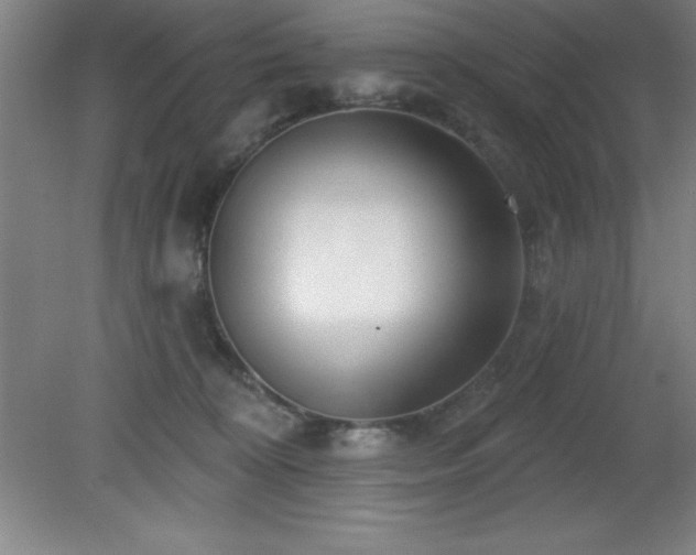 X0000082160324200701191248