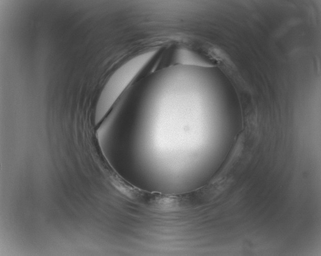X0000082160325200701191248