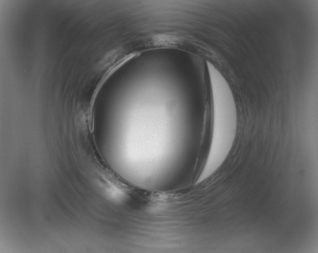 X0000082160329200701191248