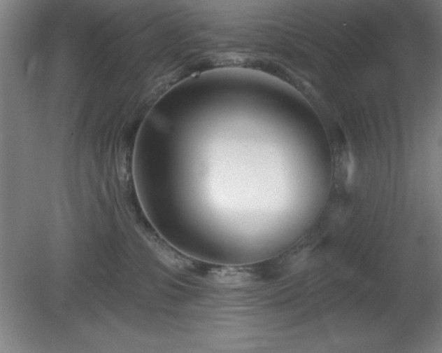 X0000082160331200701191248