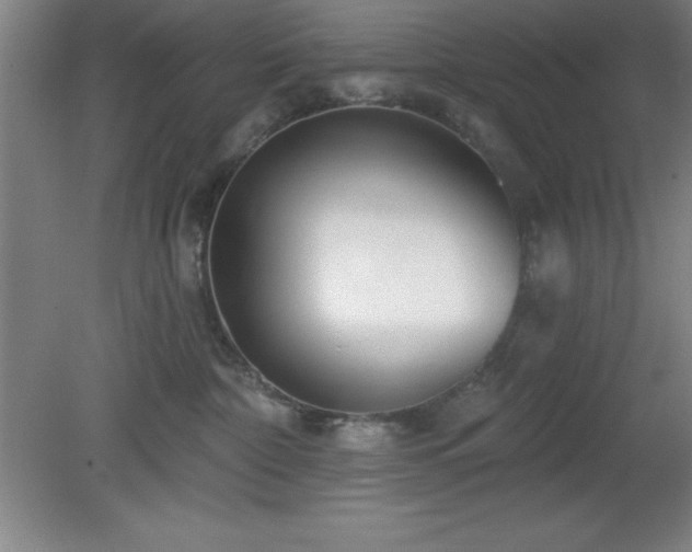 X0000082160332200701191248