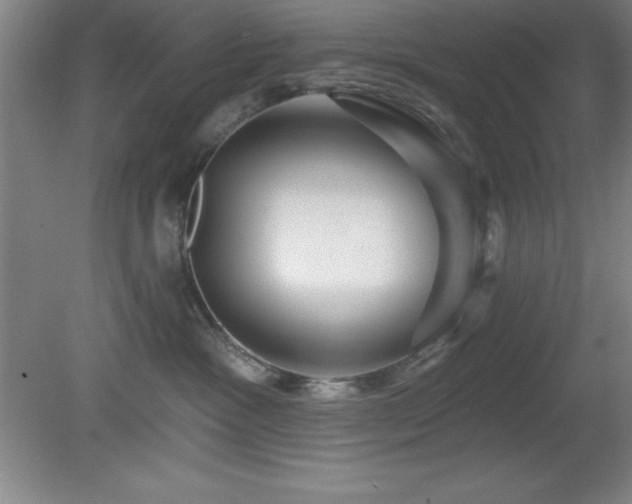 X0000082160333200701191248