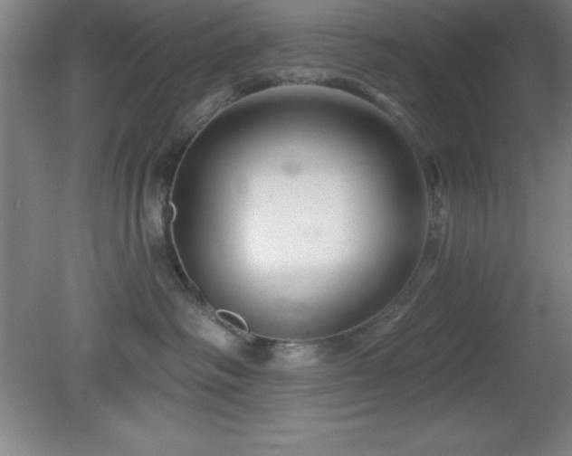 X0000082160334200701191248