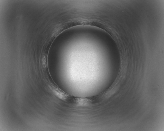 X0000082160336200701191248