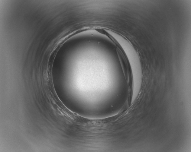 X0000082160338200701191247