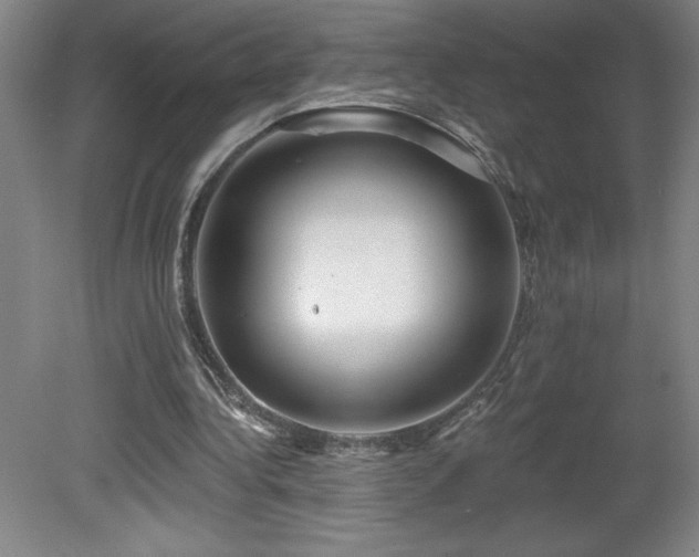 X0000082160340200701191247