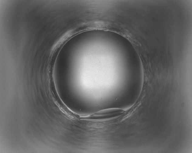 X0000082160341200701191247