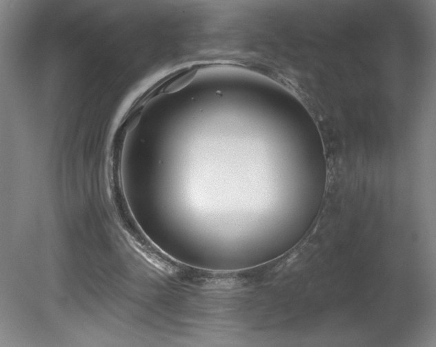 X0000082160342200701191247