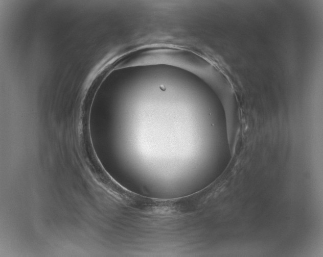 X0000082160344200701191247