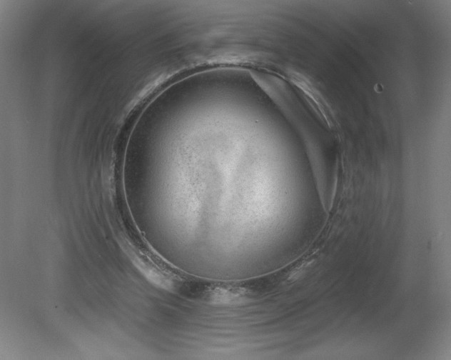 X0000082160346200701191247