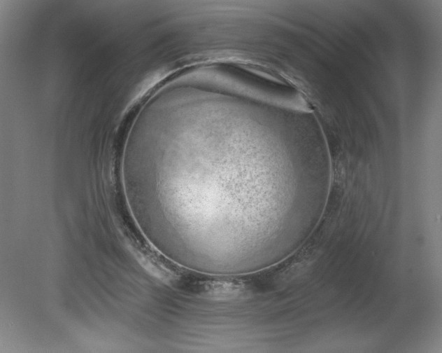 X0000082160347200701191247
