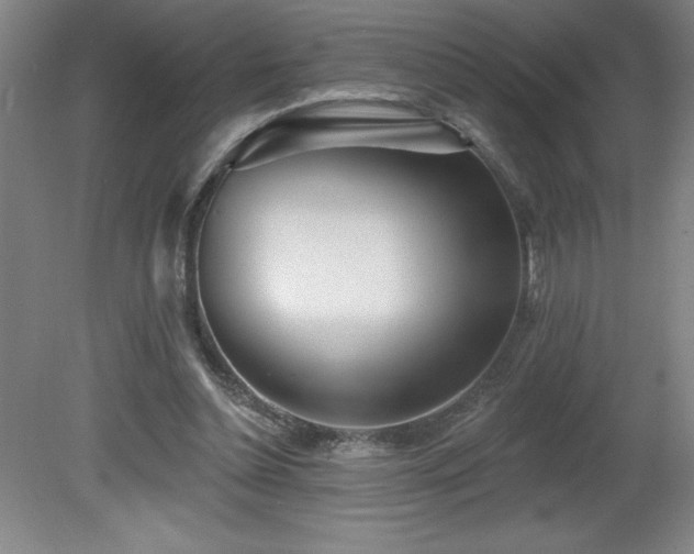 X0000082160348200701191247