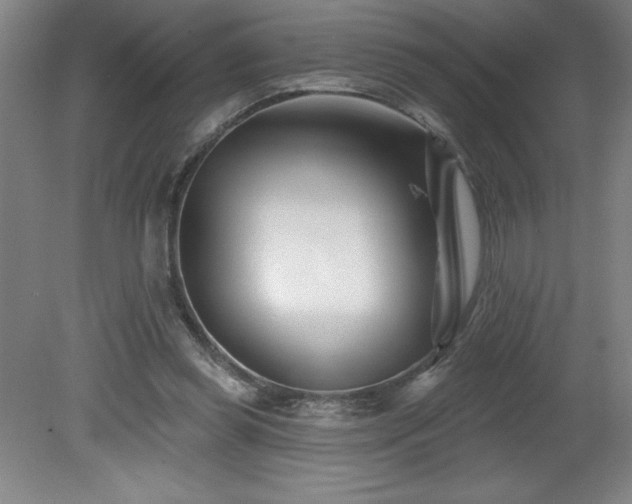X0000082160349200701191247