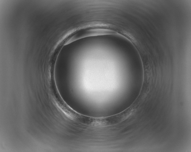 X0000082160350200701191247