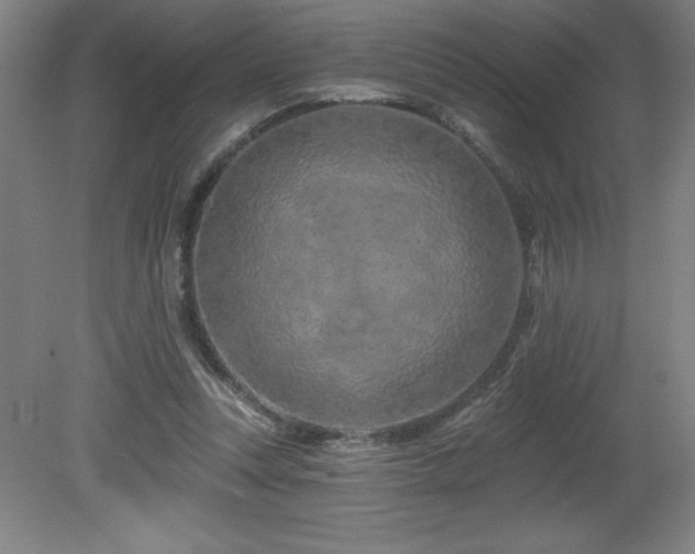 X0000082160351200701191247