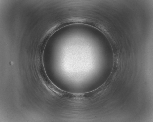 X0000082160352200701191247