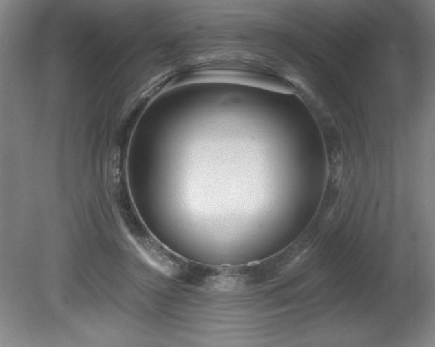 X0000082160356200701191247