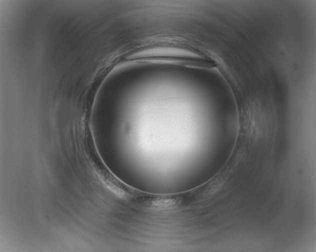 X0000082160357200701191247