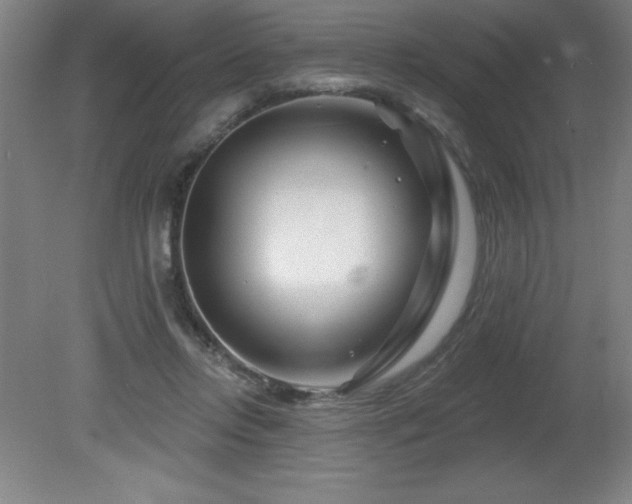 X0000082160358200701191247