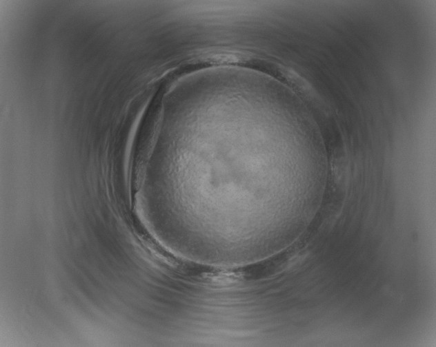 X0000082160359200701191247