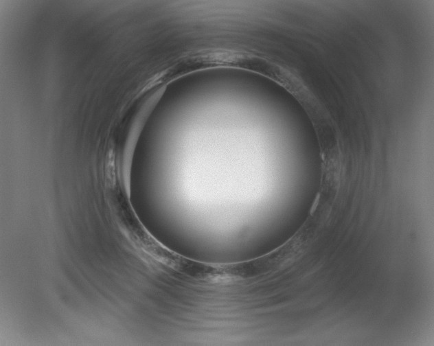 X0000082160360200701191247