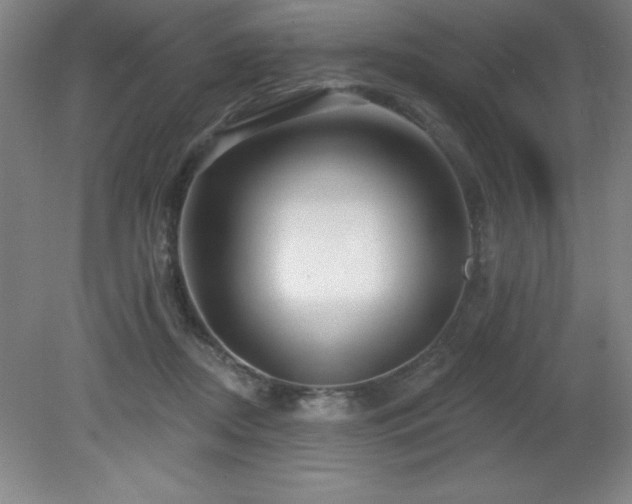 X0000082160362200701191247