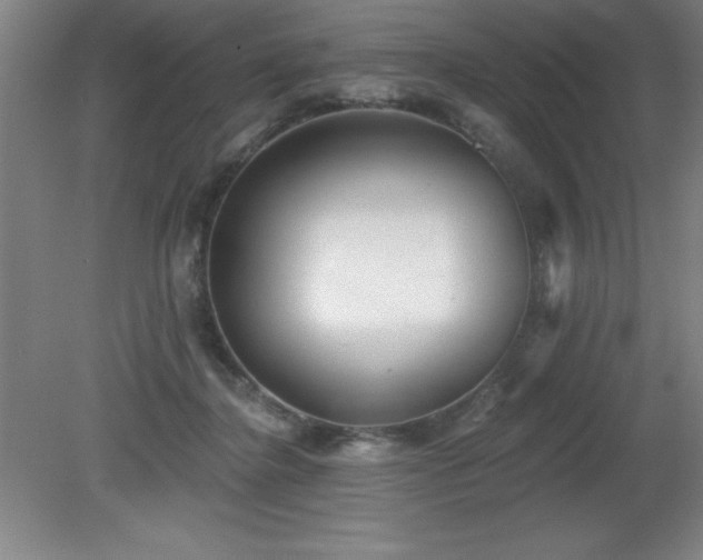 X0000082160364200701191248