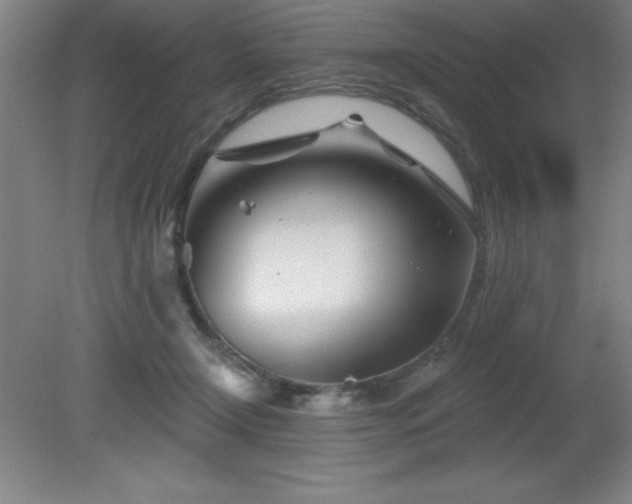 X0000082160366200701191248