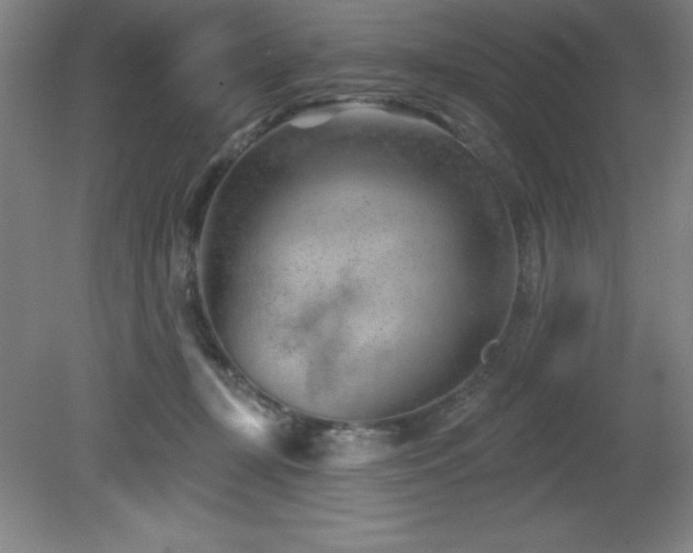 X0000082160367200701191248