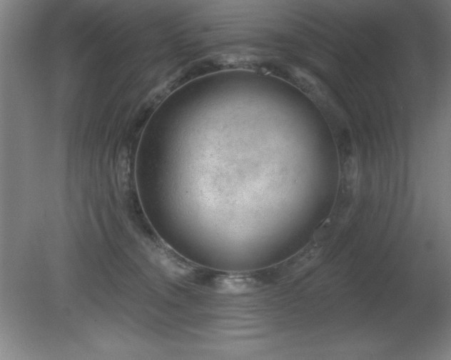 X0000082160372200701191248