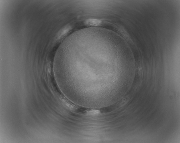 X0000082160374200701191248