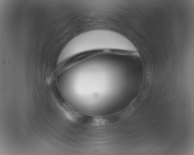 X0000082160376200701191248