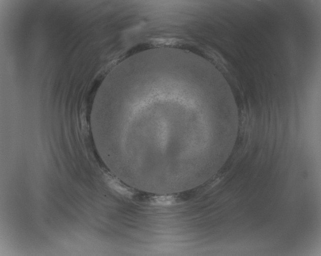 X0000082160377200701191248